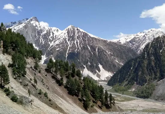 Baltal