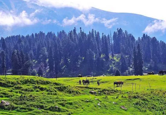 Gulmarg Sightseeing_2