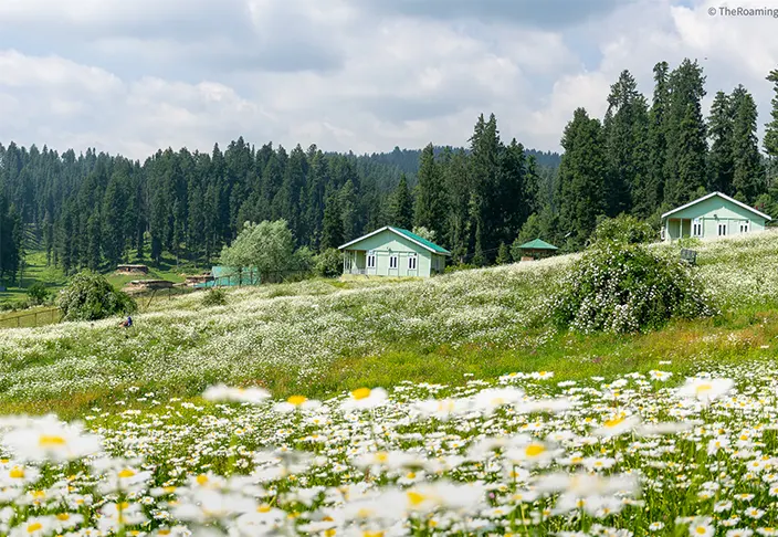 Yusmarg Tourism – Kashmir’s Most Underrated Natural Wonder
