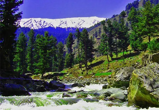 Tangmarg