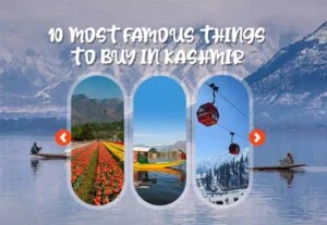 Buy in Kashmir