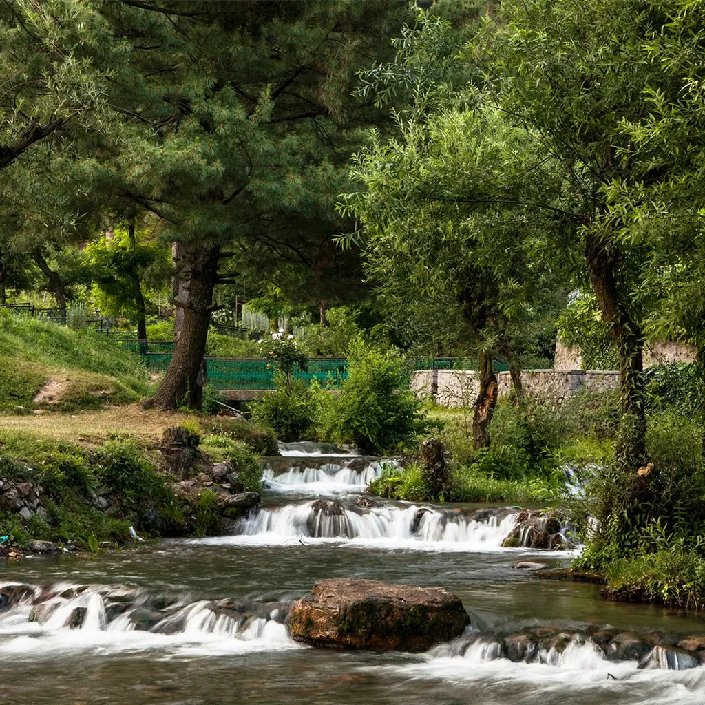 Kokernag spring