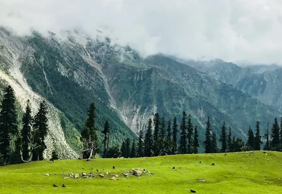 Dachigam National Park Srinagar