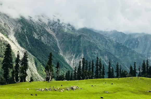 dachigam-national-park-srinagar