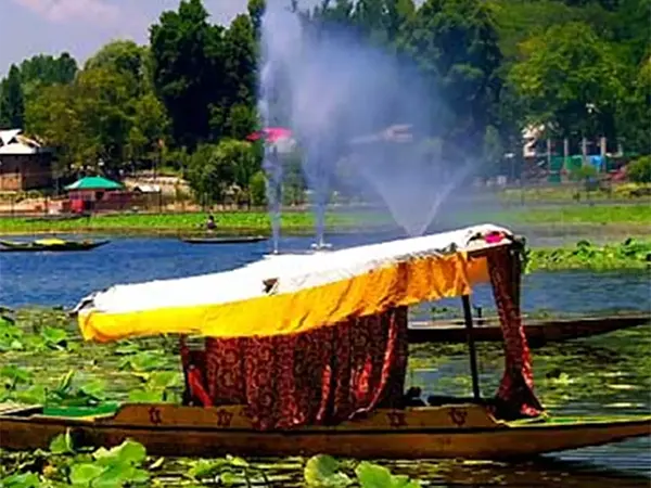 Activities in Manasbal Park