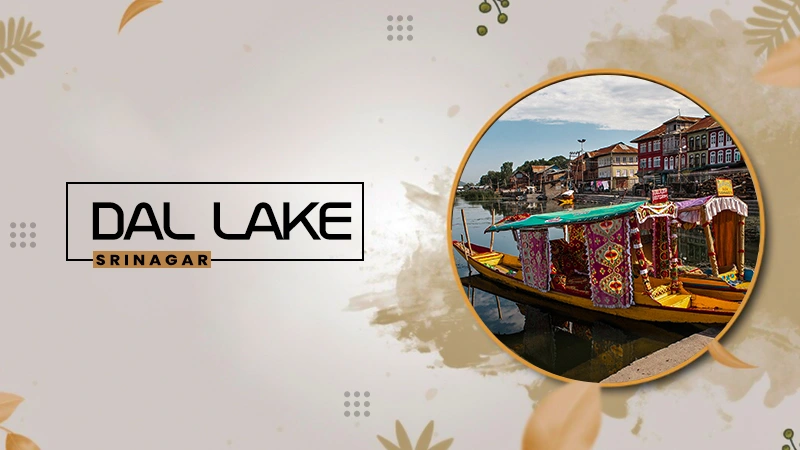 Best Time to Visit Dal Lake, Kashmir