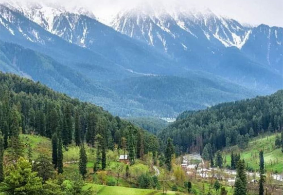 Best Time to Visit Pahalgam: A Seasonal Travel Guide