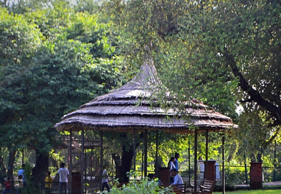 Manda Zoo