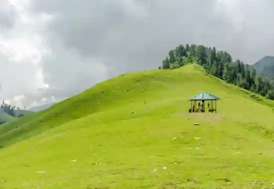 Padri Meadow