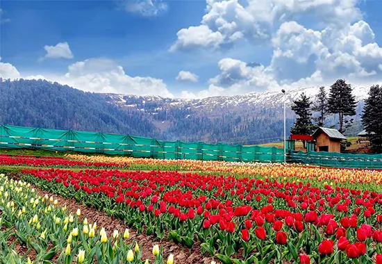 Adventure activities at Patnitop