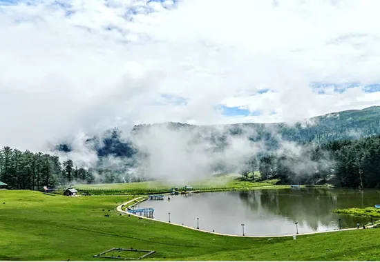 Lake view at Sanasar surrounded by pines