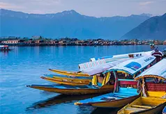 Srinagar