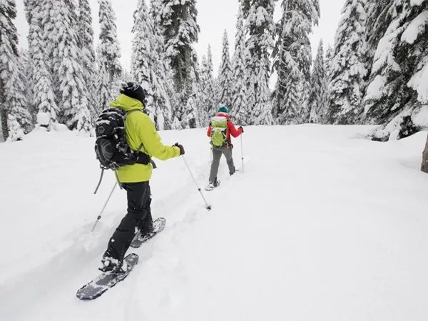 Snowshoeing in Sonamarg Valley
