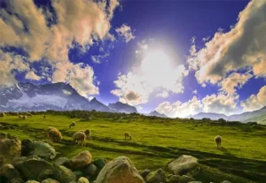 Sonamarg