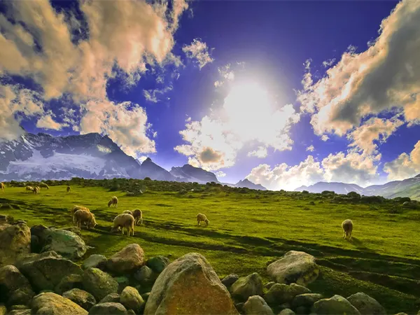 Sonamarg Valley View