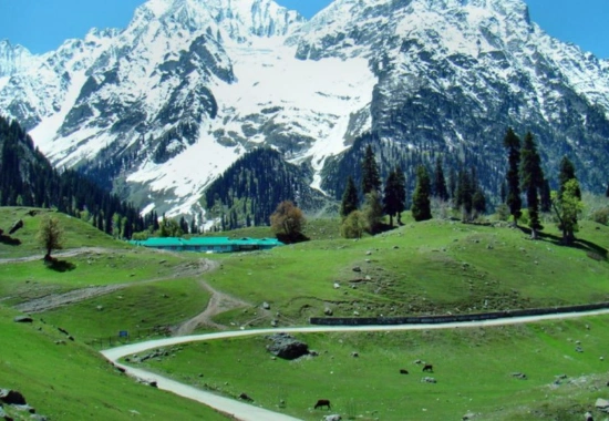 Day 2: Gulmarg