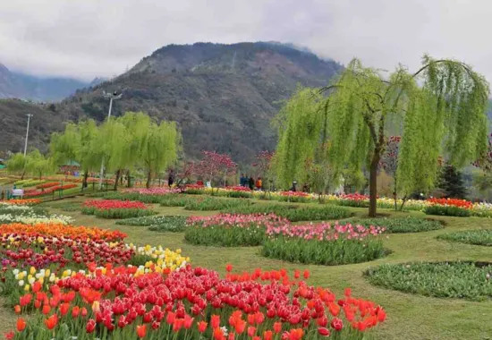 Full Day Srinagar Sightseeing Tour Full Day Srinagar Sightseeing Tour