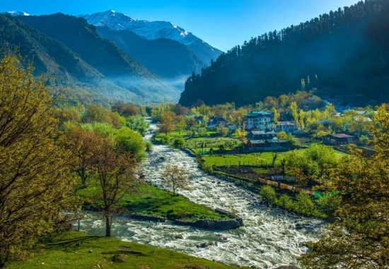 Srinagar Local Sightseeing