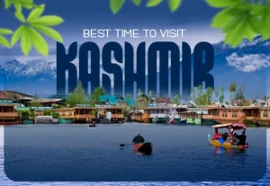 kashmir