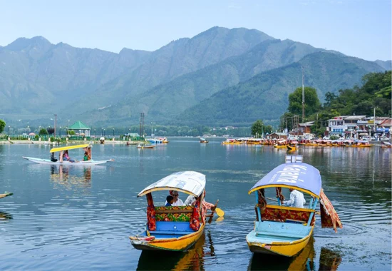 Arrival in Srinagar