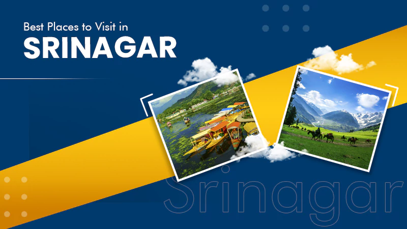 Best Places to Visit in srinagar