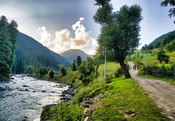 Betaab Valley Photography Sightseeing