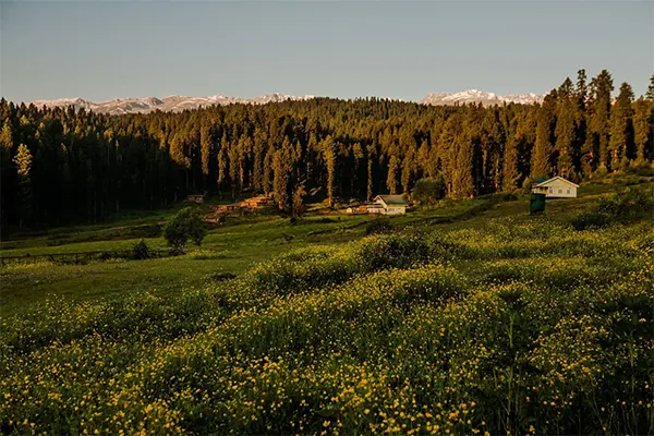 Burgah