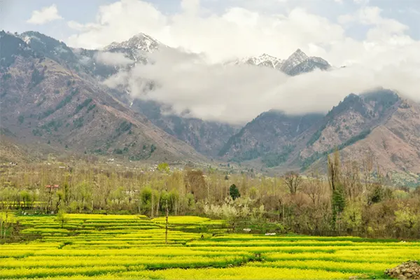 Dachigam-National-Park
