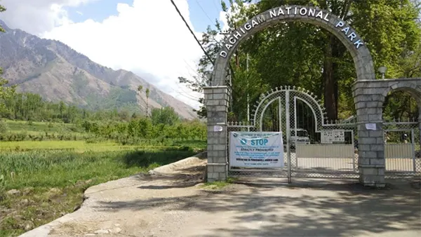 Dachigam