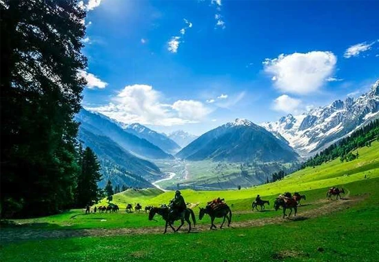 Excursion to Sonmarg