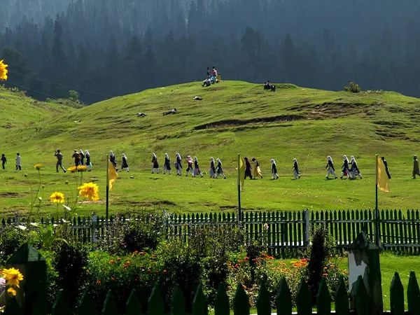Gulmarg in Summer