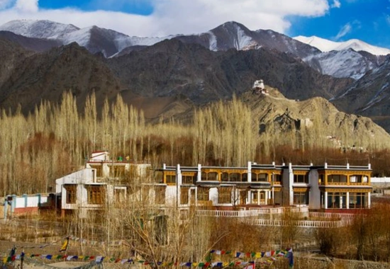 Hotel Ladakh Retreat