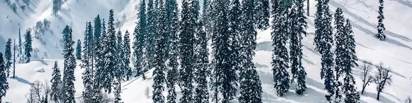   Kashmir Family Tour Packages