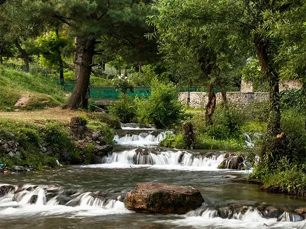 Kokernag spring