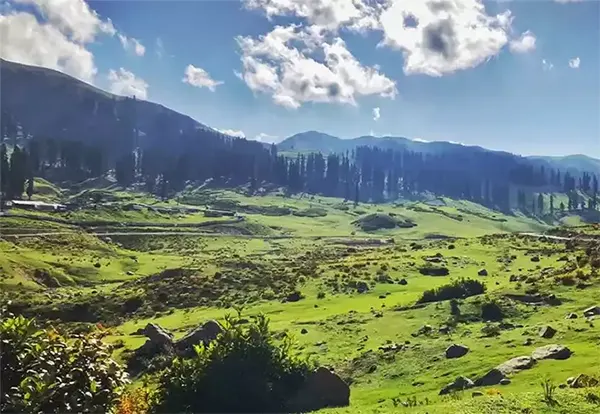 Kootpathri & Posh Pathri Aru Valley
