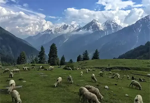 Lidderwat Aru Valley