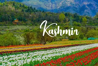 Katra to Kashmir Tour Package
