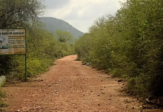 Nandini Wildlife Sanctuary