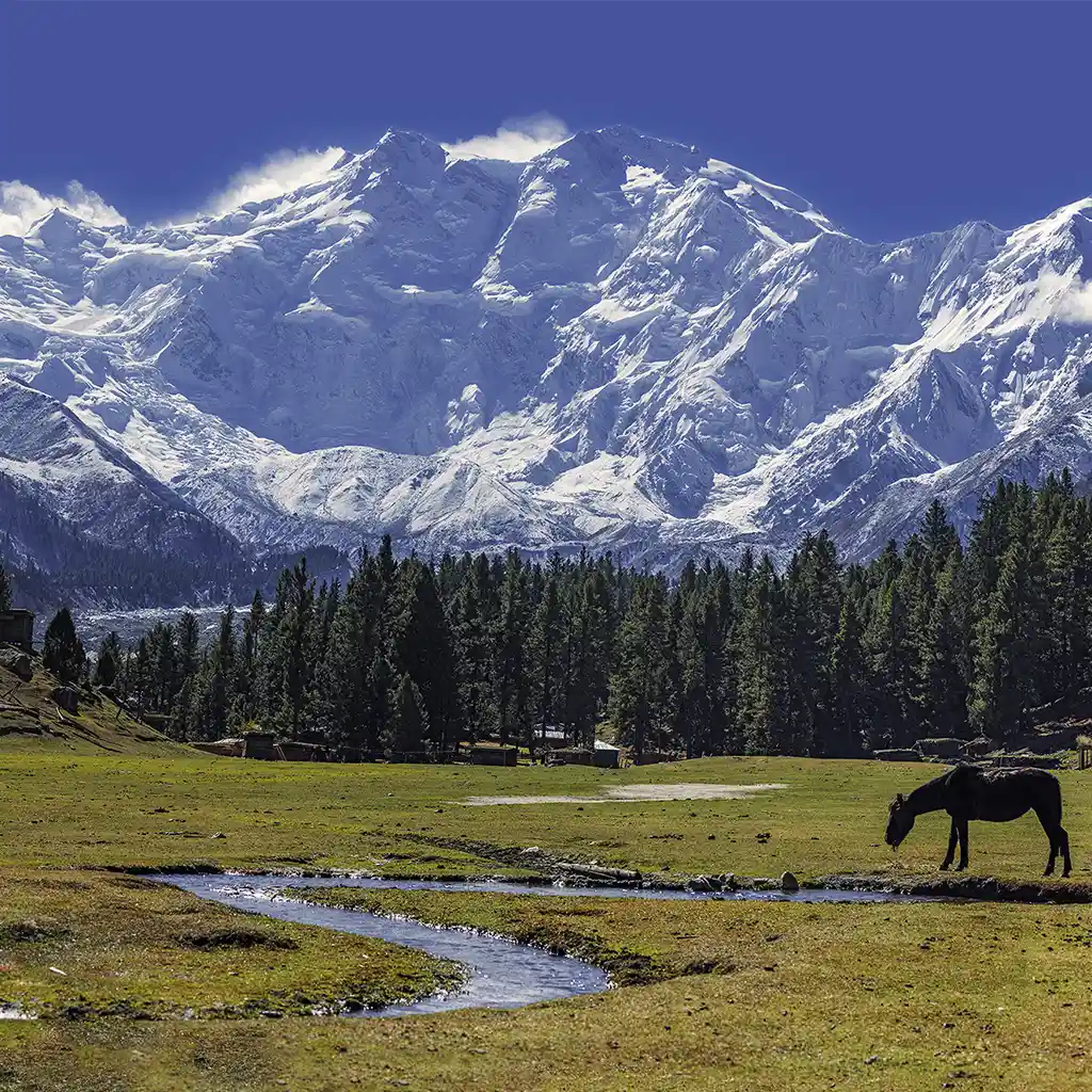 Nanga Parbat Viewpoint