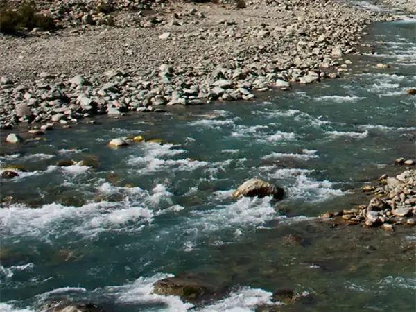 Ningle Nallah Gulmarg
