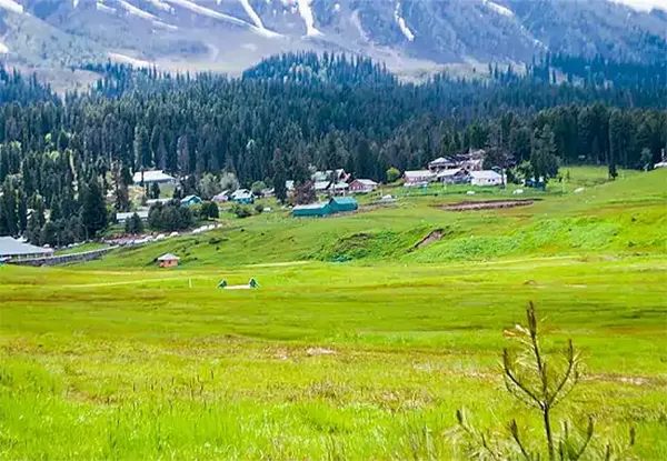 Outer Circle Walk Gulmarg