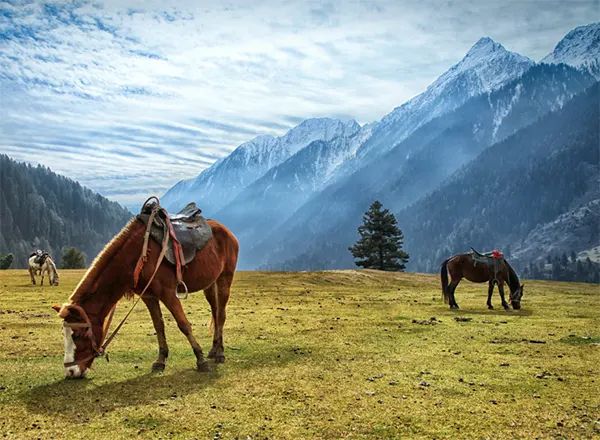 Pahalgam Valley in Kashmir