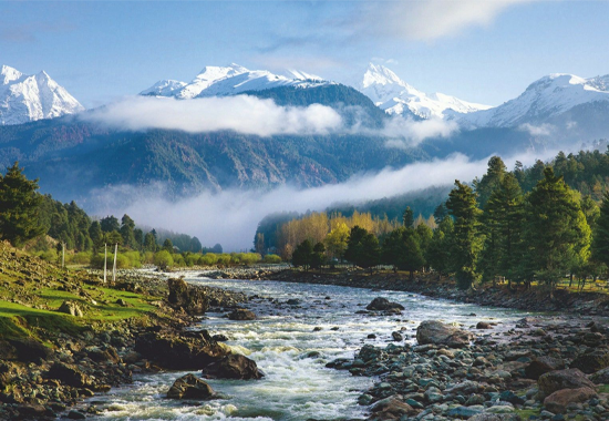 Peak Season in Pahalgam