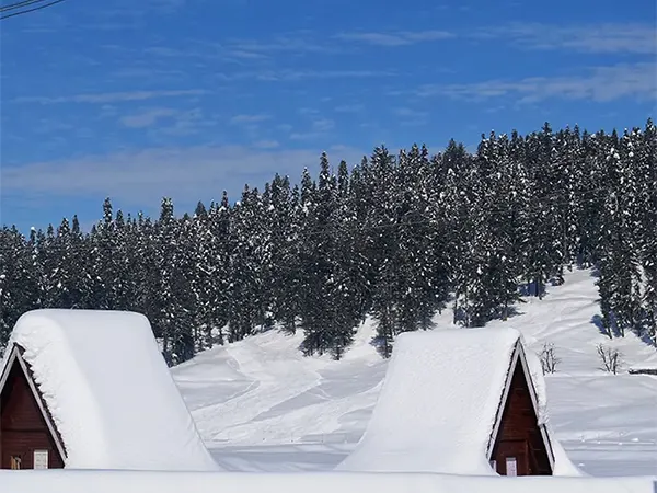 Seven Springs Gulmarg
