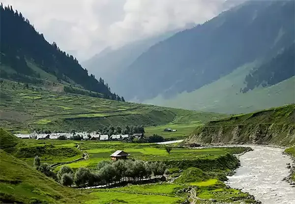 Strawberry Valley Gulmarg