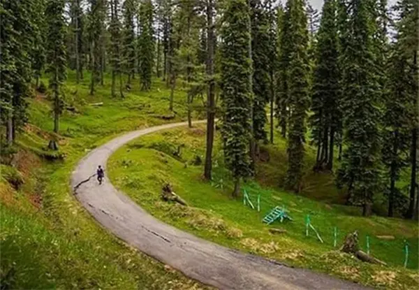 Tangmarg