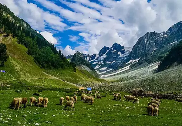 Thajiwas Glacier