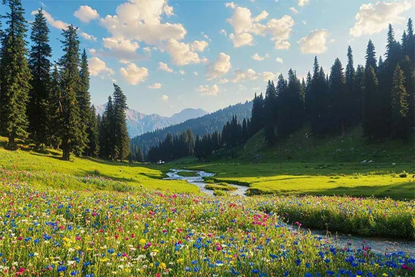 The meadow of Jesus in spring