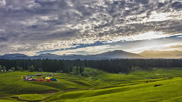The meadow of Jesus in summer