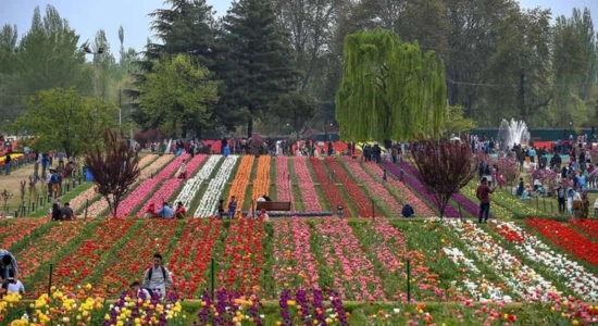 Visit to the Tulip Garden